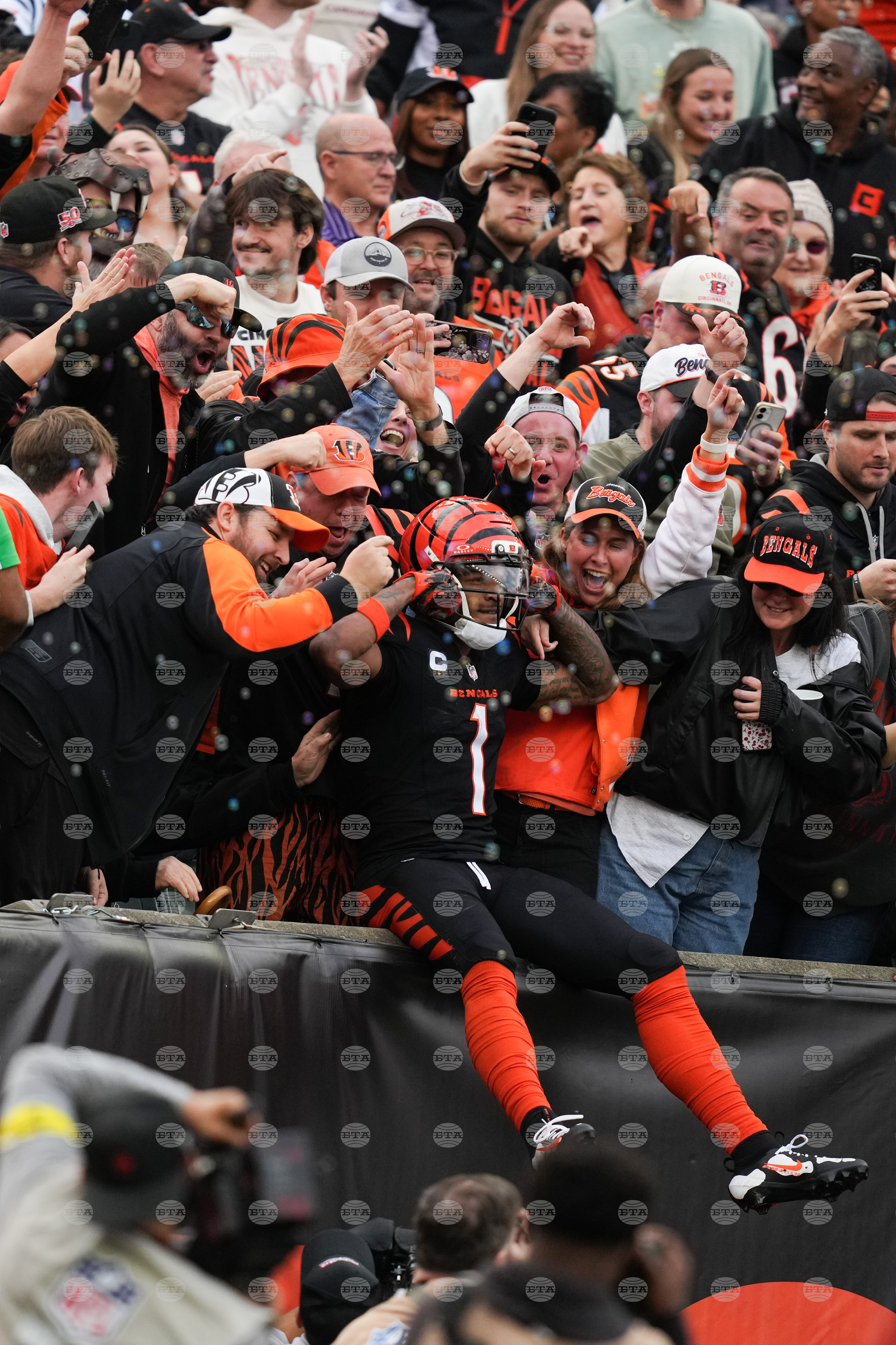 Cardinals Bengals Football