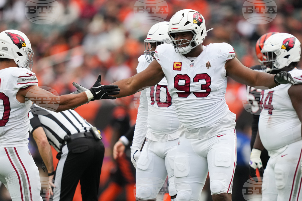 Cardinals Bengals Football