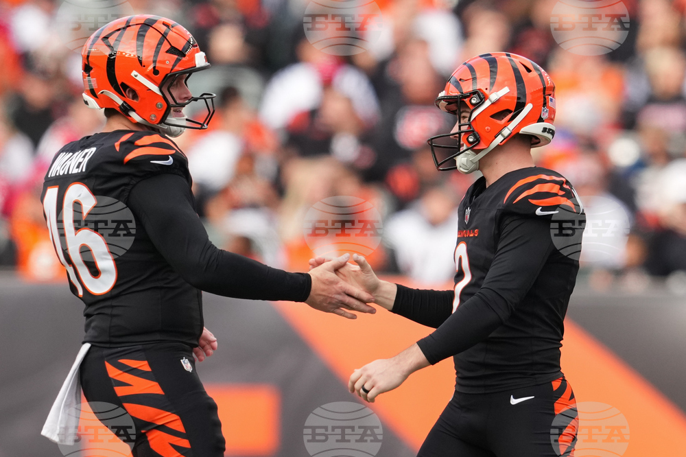 Cardinals Bengals Football