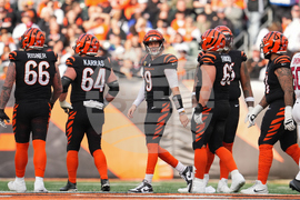 Cardinals Bengals Football