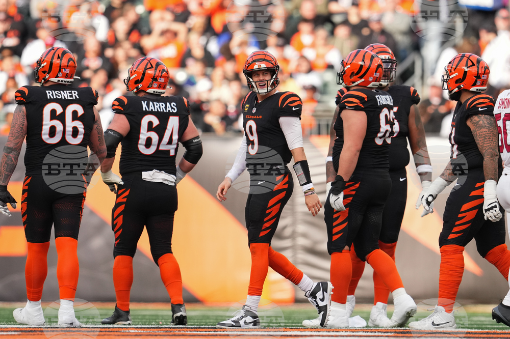 Cardinals Bengals Football