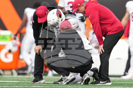 Cardinals Bengals Football