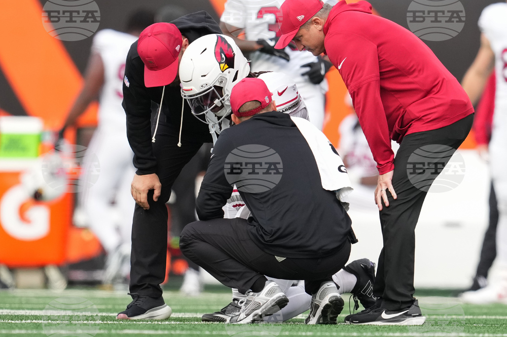 Cardinals Bengals Football