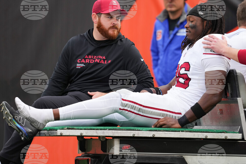 Cardinals Bengals Football