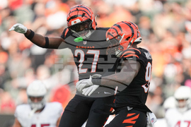 Cardinals Bengals Football