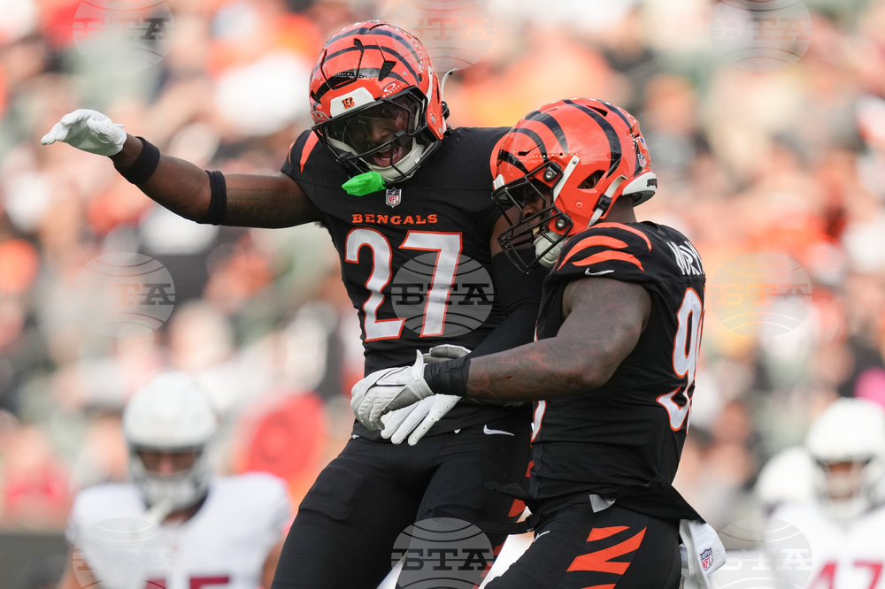 Cardinals Bengals Football