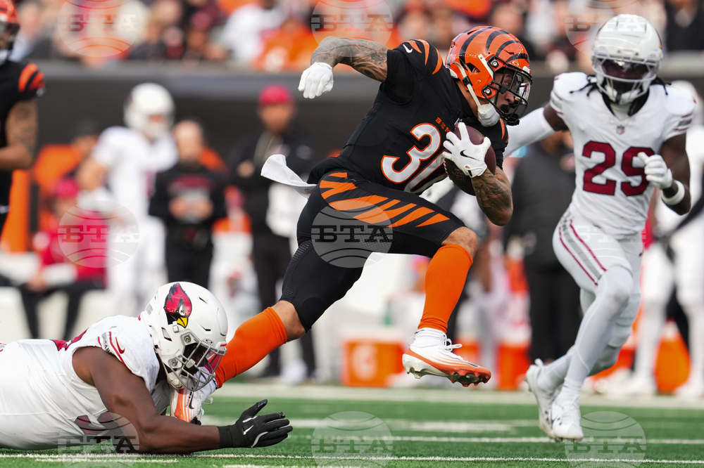Cardinals Bengals Football