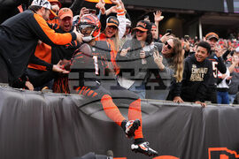 Cardinals Bengals Football