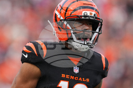 Cardinals Bengals Football