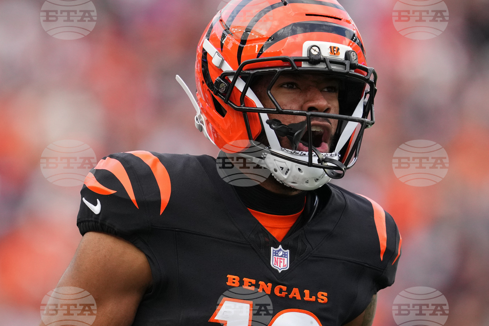 Cardinals Bengals Football