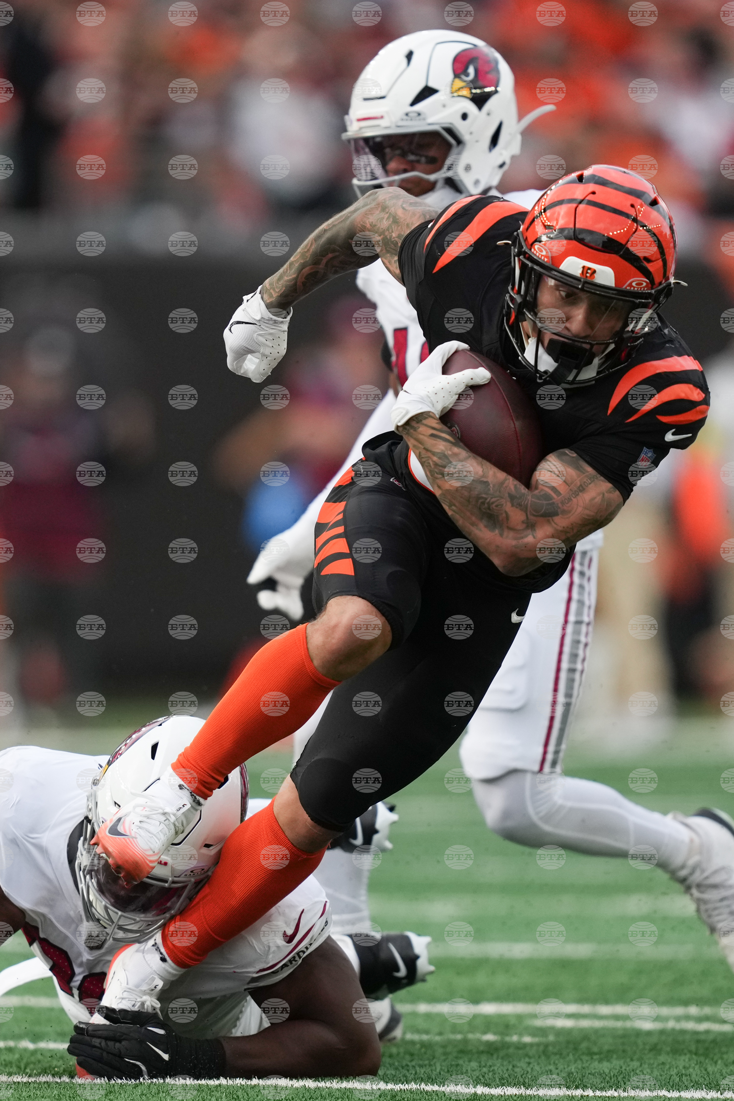 Cardinals Bengals Football