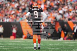 Cardinals Bengals Football