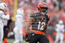 Cardinals Bengals Football