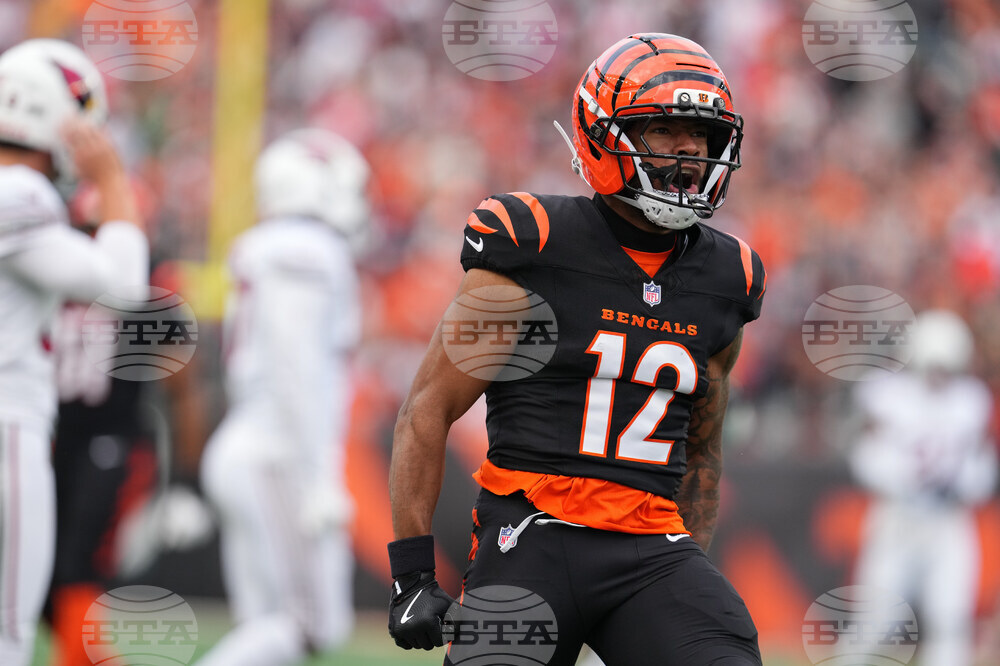 Cardinals Bengals Football