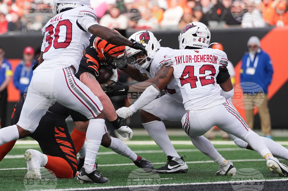 Cardinals Bengals Football