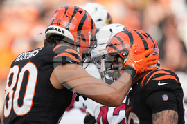 Cardinals Bengals Football