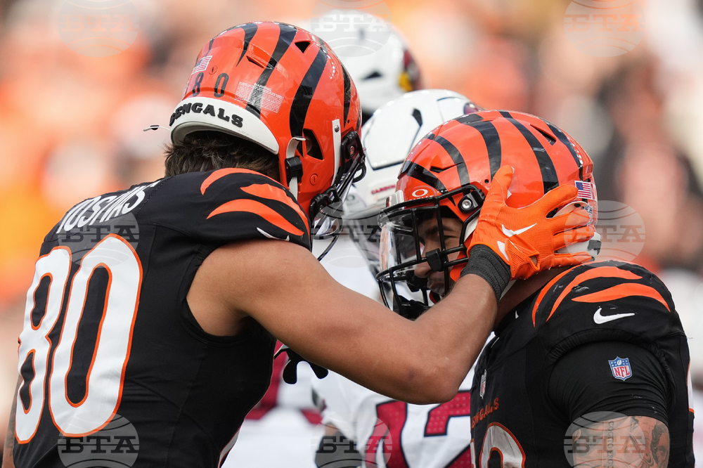 Cardinals Bengals Football