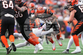 Cardinals Bengals Football