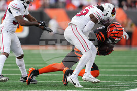 Cardinals Bengals Football