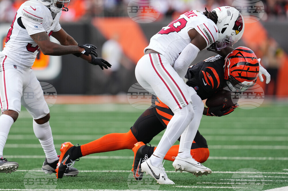 Cardinals Bengals Football