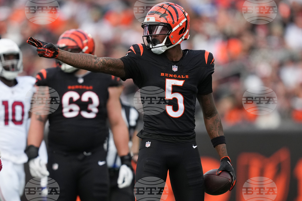 Cardinals Bengals Football