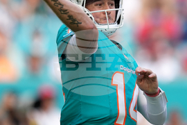 Buccaneers Dolphins Football