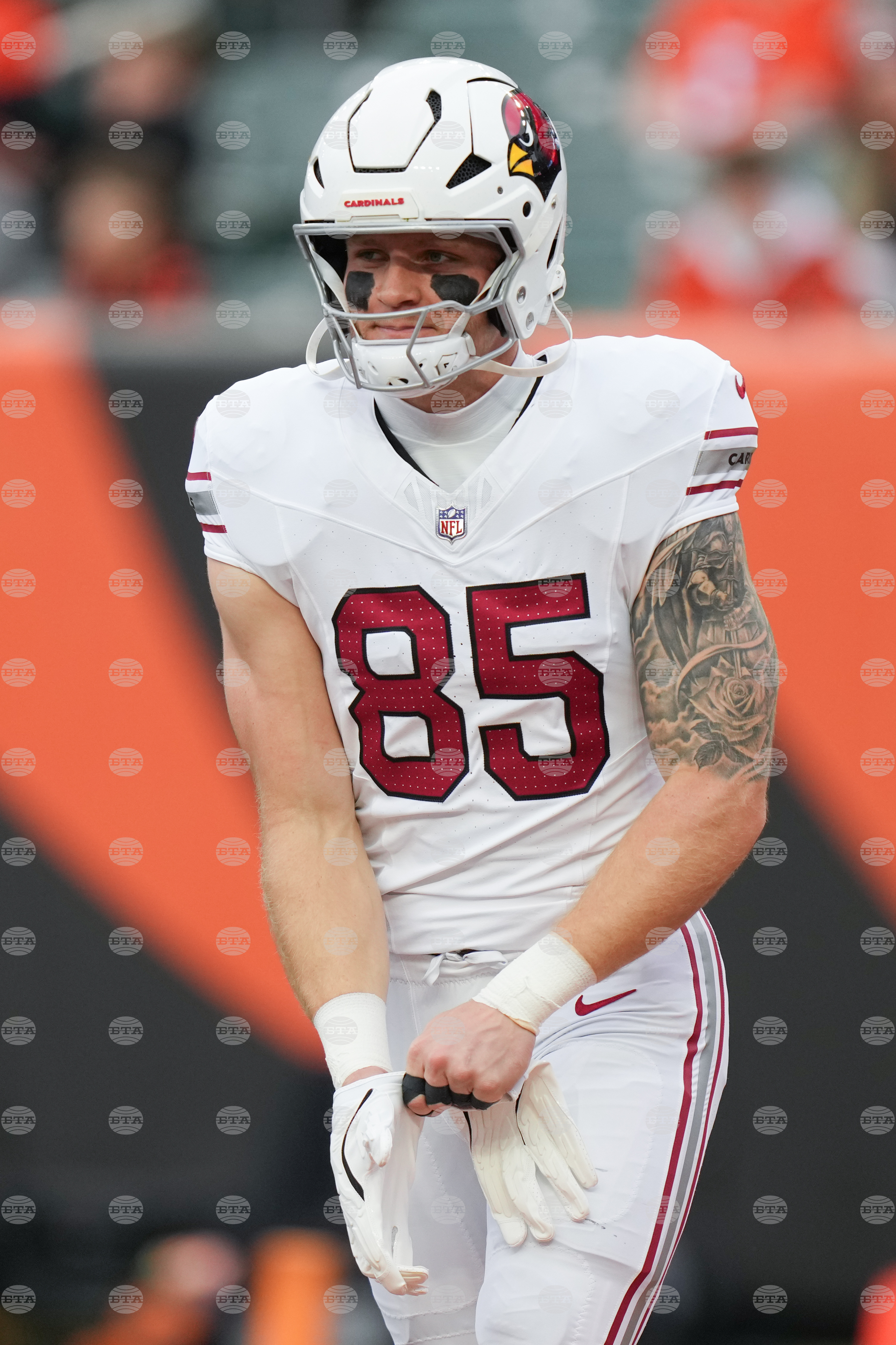 Cardinals Bengals Football