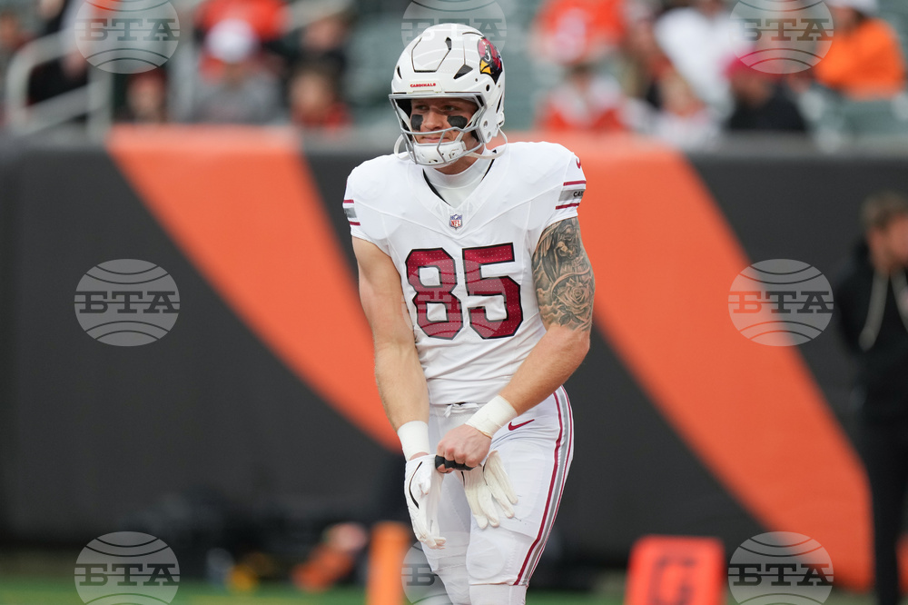 Cardinals Bengals Football