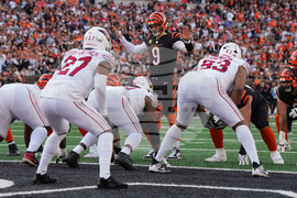 Cardinals Bengals Football
