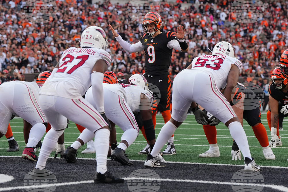 Cardinals Bengals Football
