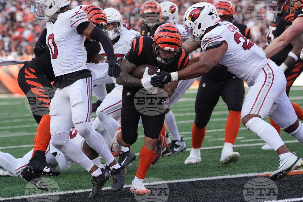 Cardinals Bengals Football