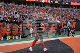 Cardinals Bengals Football