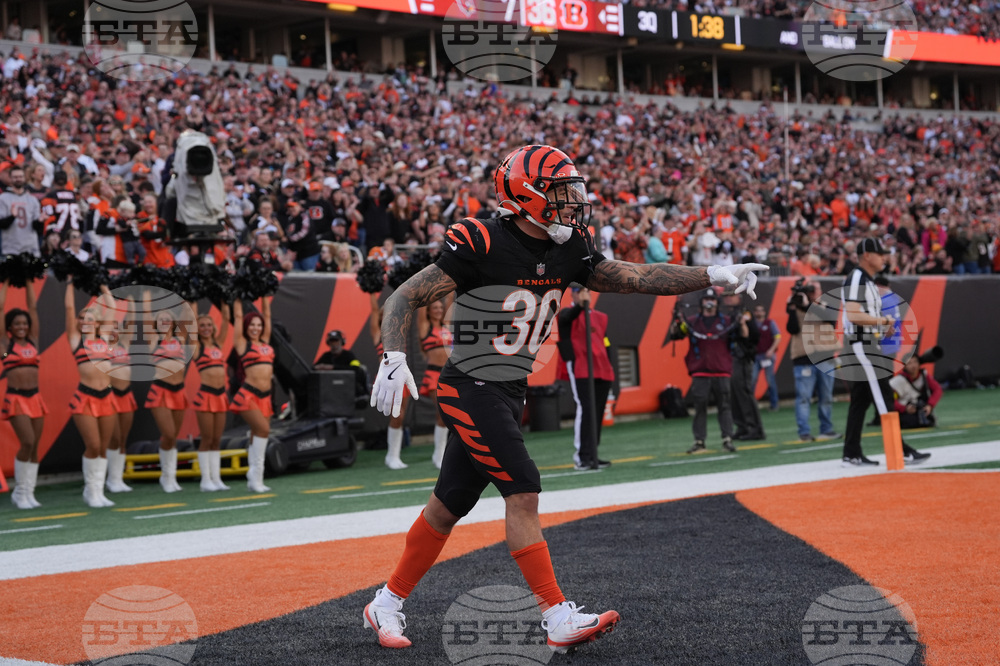 Cardinals Bengals Football