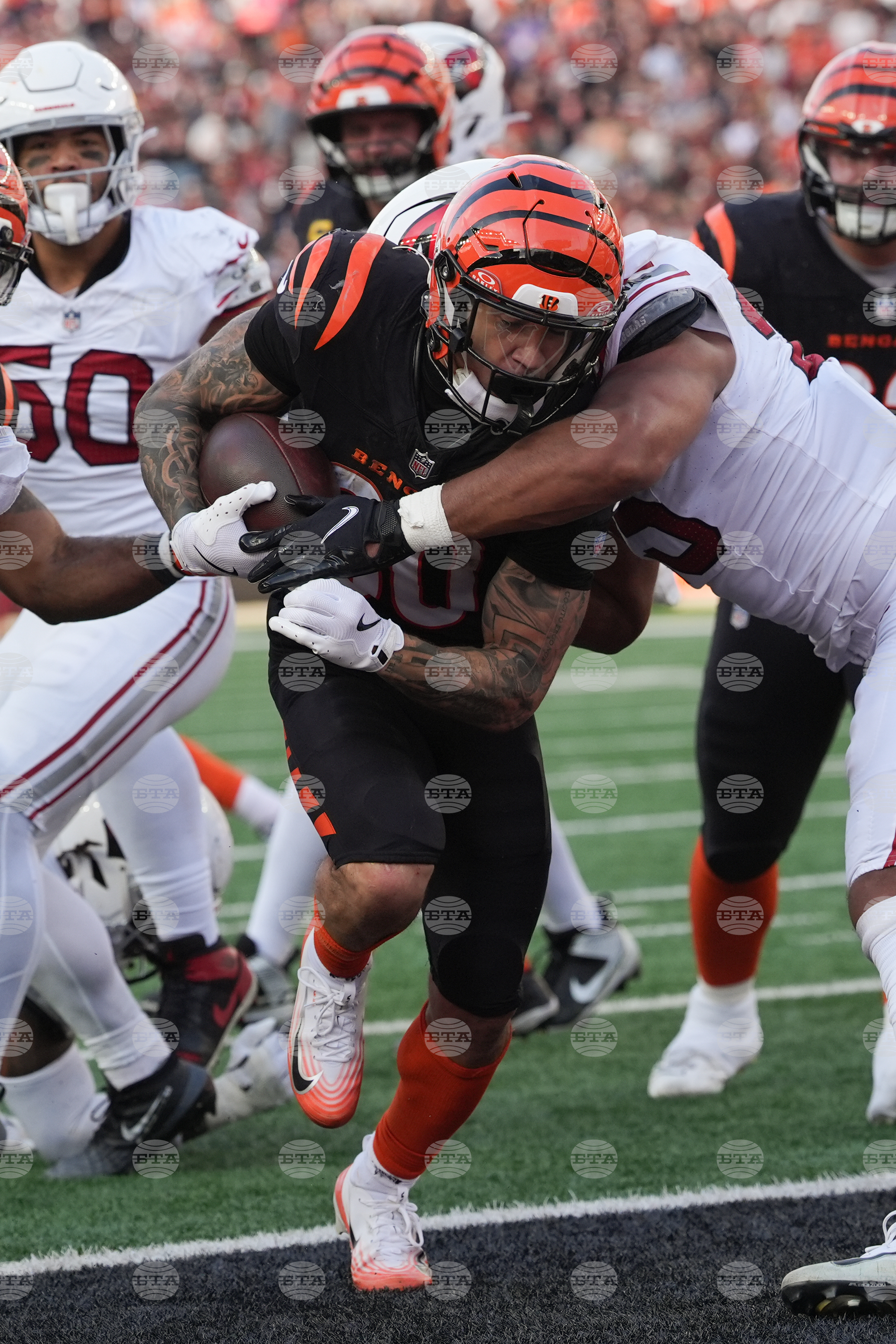 Cardinals Bengals Football