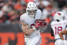 Cardinals Bengals Football