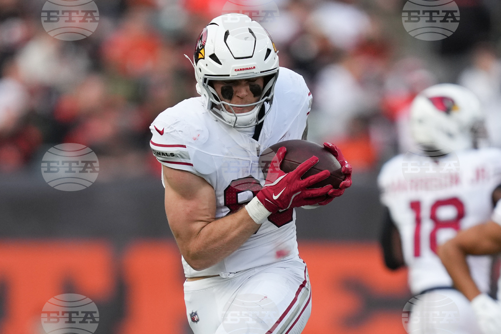 Cardinals Bengals Football