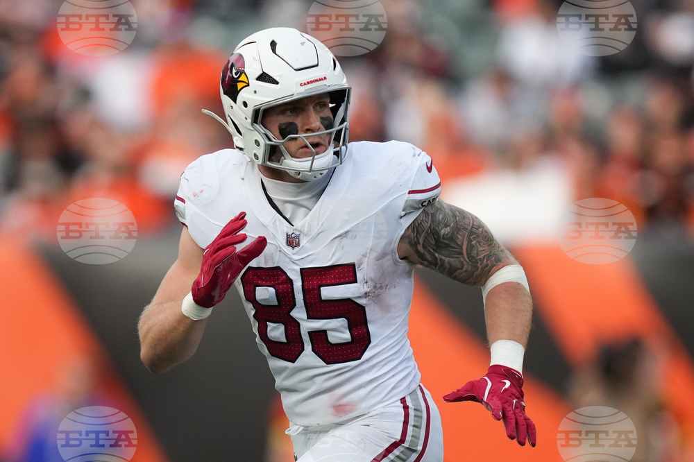 Cardinals Bengals Football