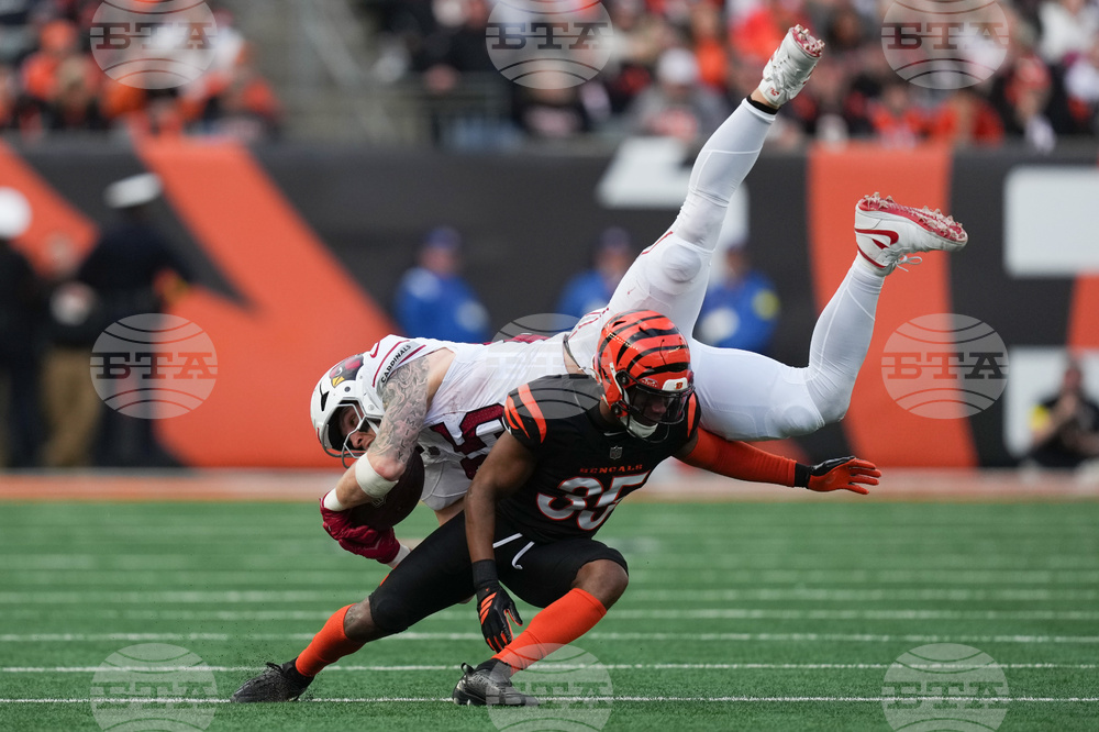 Cardinals Bengals Football