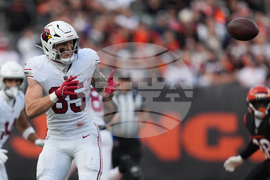 Cardinals Bengals Football