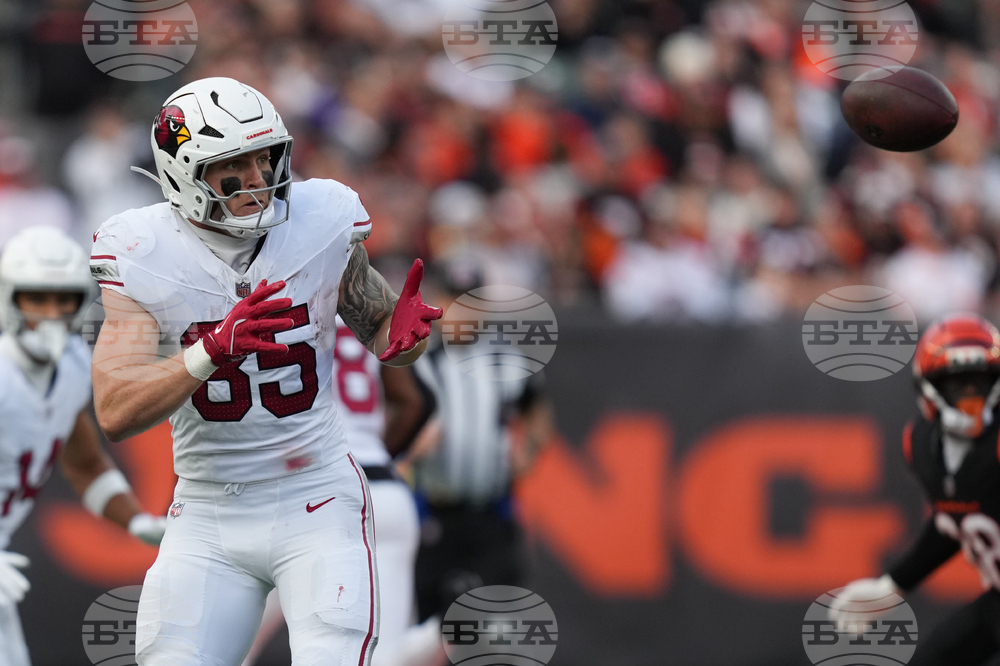 Cardinals Bengals Football