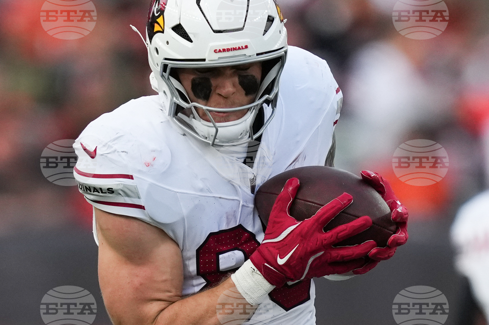 Cardinals Bengals Football