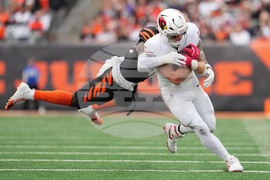 APTOPIX Cardinals Bengals Football