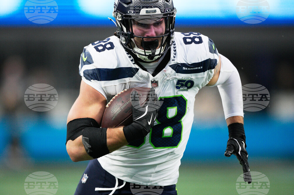 Seahawks Panthers Football