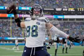 Seahawks Panthers Football