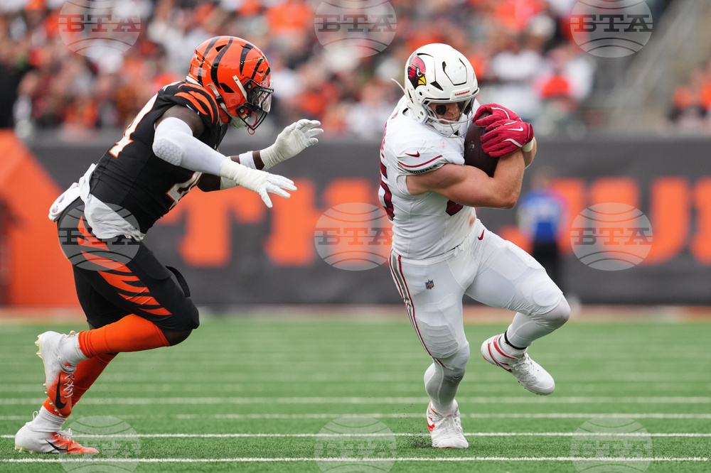 Cardinals Bengals Football