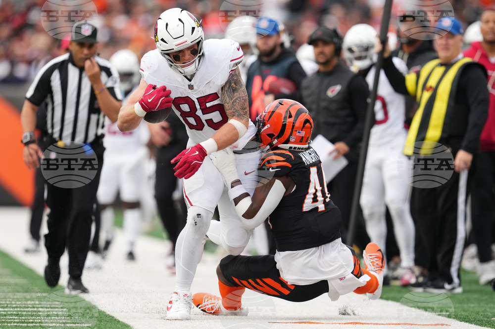 Cardinals Bengals Football