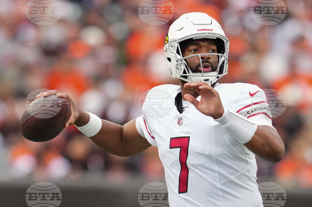 Cardinals Bengals Football