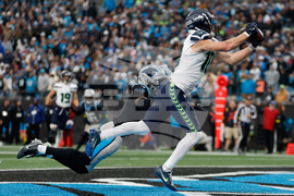 Seahawks Panthers Football