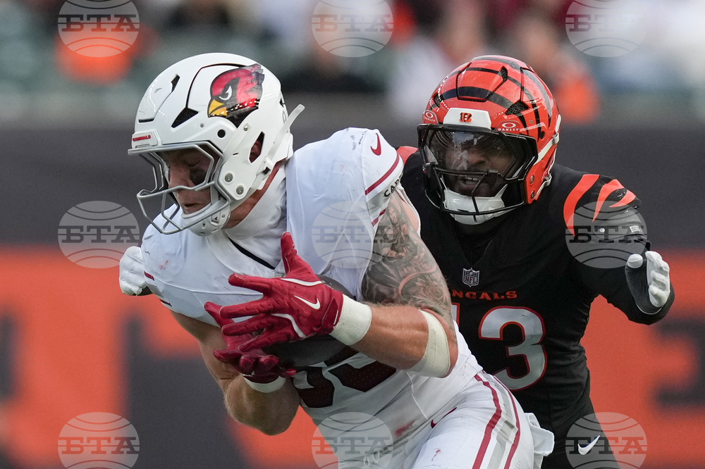 Cardinals Bengals Football