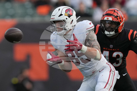 Cardinals Bengals Football